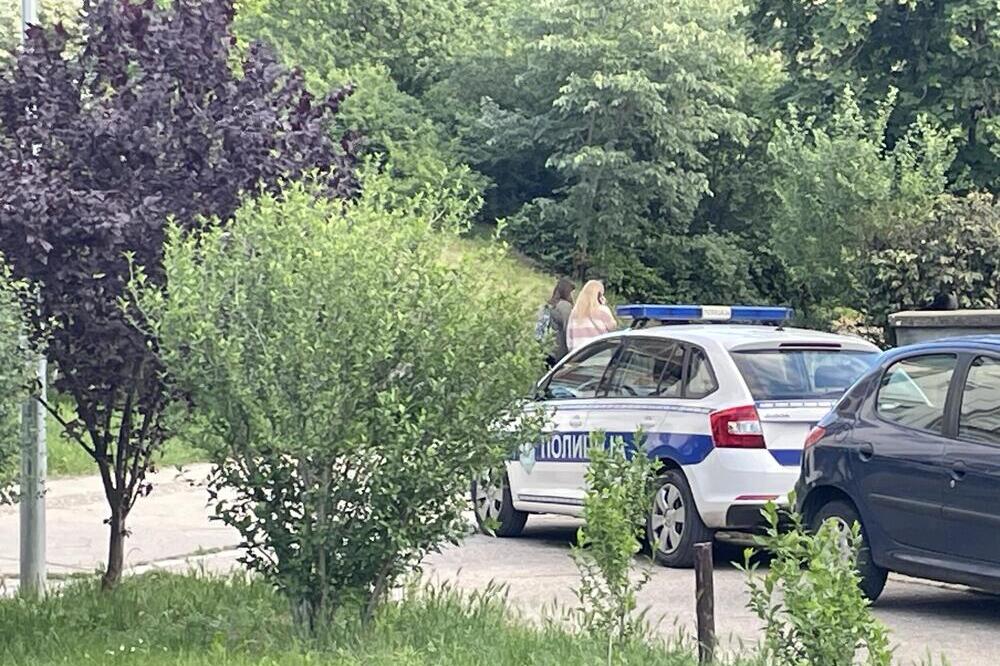 Žena sišla u podrum zgrade na Novom Beogradu, a kada je otvorila vrata - umalo se nije onesvestila od STRAHA!