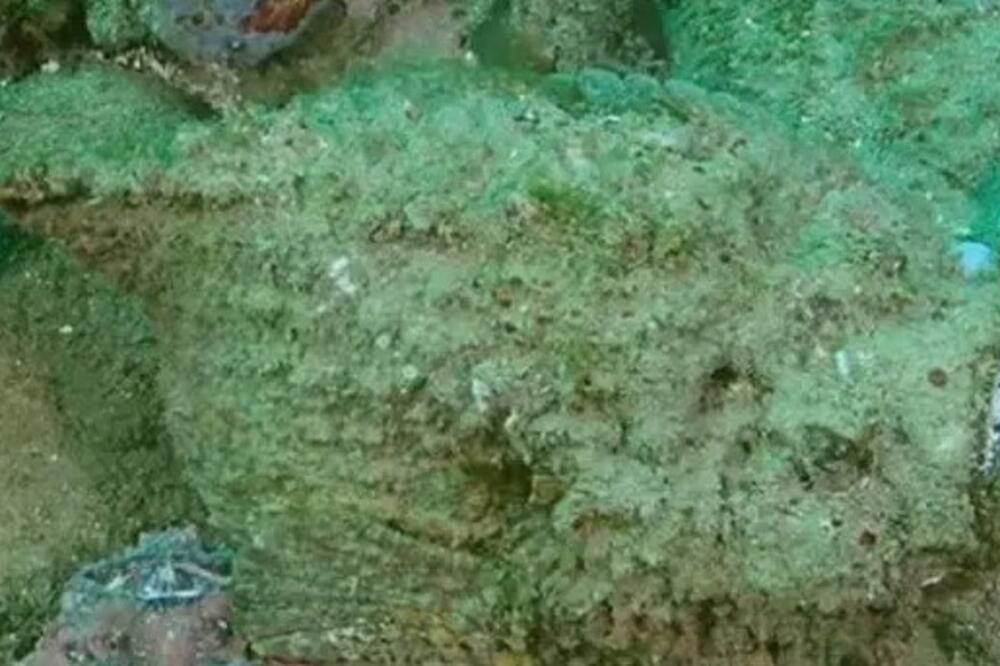 RONIO JE I VIDEO KAMEN NA DNU: Da je stao na njega, za par sekundi bio bi mrtav, EVO I ZBOG ČEGA TAČNO (VIDEO)