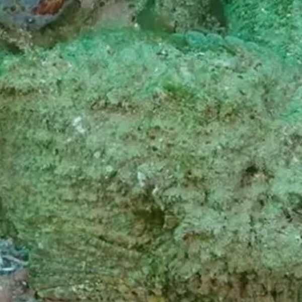 RONIO JE I VIDEO KAMEN NA DNU: Da je stao na njega, za par sekundi bio bi mrtav, EVO I ZBOG ČEGA TAČNO (VIDEO)