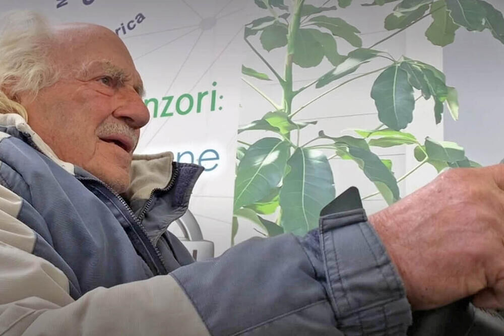 Branislav Radulović