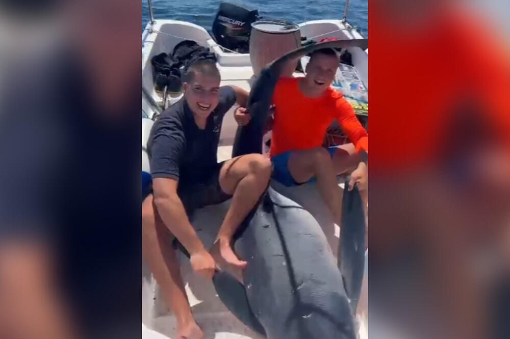 JADRANSKO MORE PREPUNO AJKULA! Evo kako da PREŽIVITE susret s njima, stručnjak sve OBJASNIO