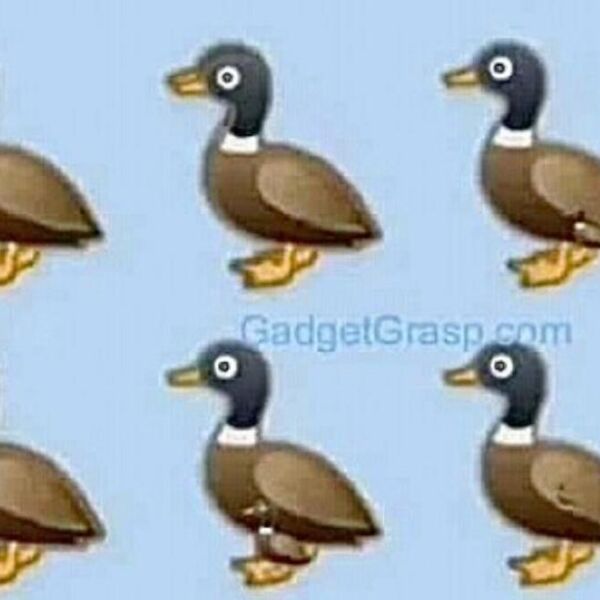 KOLIKO TAČNO PATAKA IMA NA OVOJ SLICI? Mnogo je TEŽE nego što vam se čini na prvi pogled- SKORO NIKO NE ZNA REŠENJE