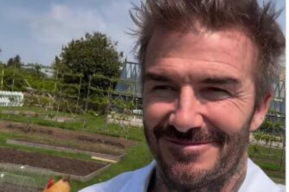 Šta se dešava sa ljudima? Tašta zumirala zetov polni organ i zabezeknula narod - ljudi u neverici zbog šok poteza