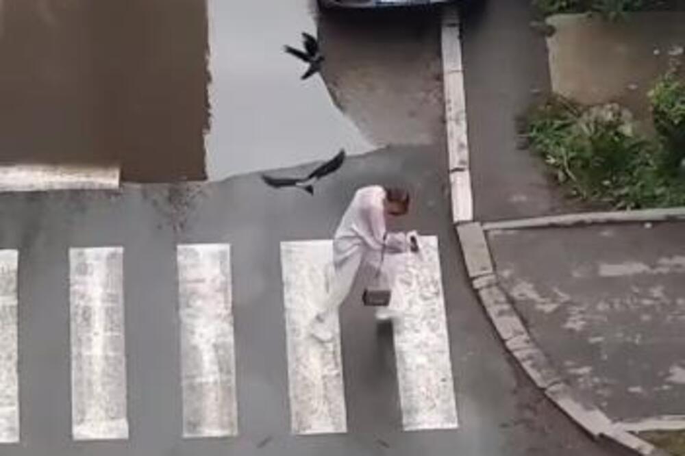 DA LI TREBA DA SE PLAŠIMO NAPADA VRANA? Poznavalac otkrio PRAVU ISTINU, "PAMTE LICA LJUDI I NAPADAJU OPET, ali..."