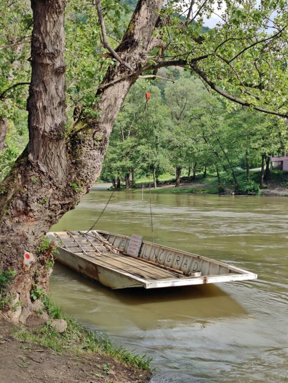 Magličgrad, Maglič, Miloš Sretenović