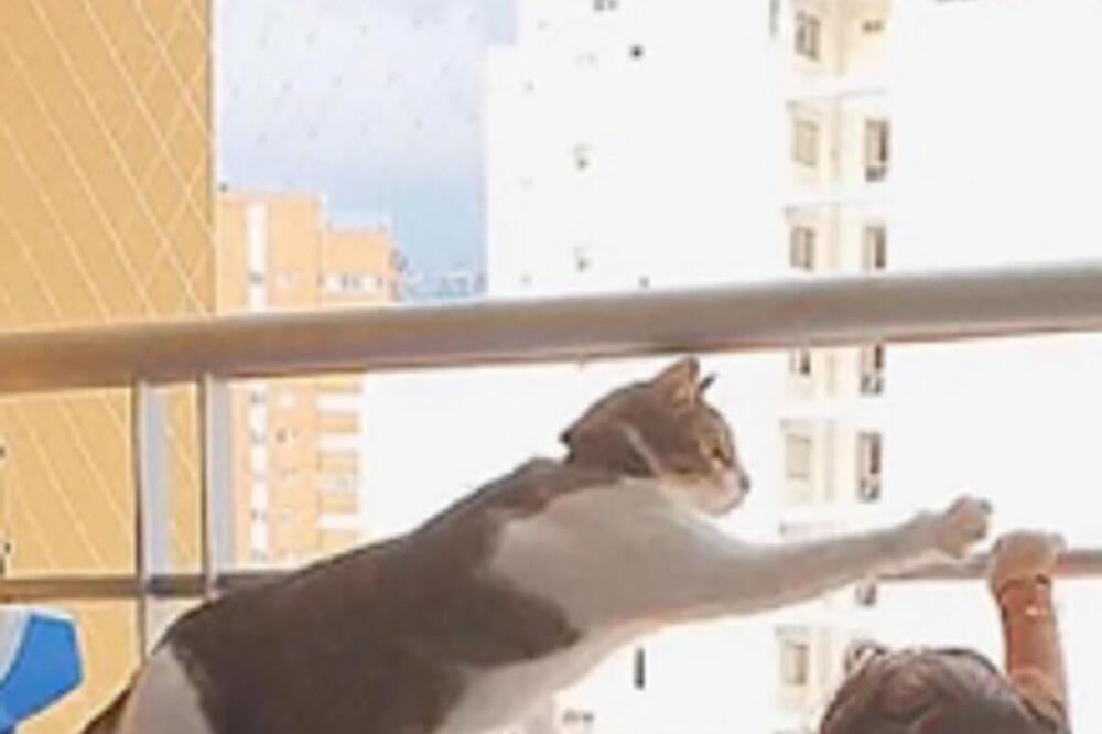 URNEBESNI SNIMAK MAČKE KOJA RADI LUDE STVARI SA BEBOM: Njih dvoje su SPREMNI DA URADE bukvalno sve (VIDEO)