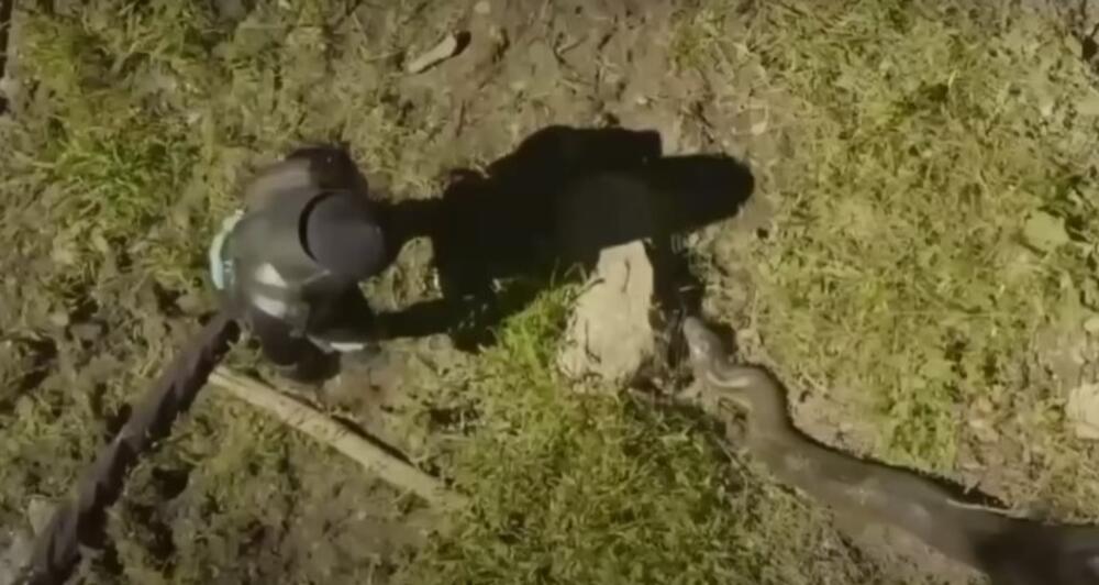 ČOVEK DOZVOLIO DA GA PROGUTA OGROMNA ZMIJA: Obukao specijalno odelo, a onda su stvari BRZO KRENULE PO ZLU (VIDEO)