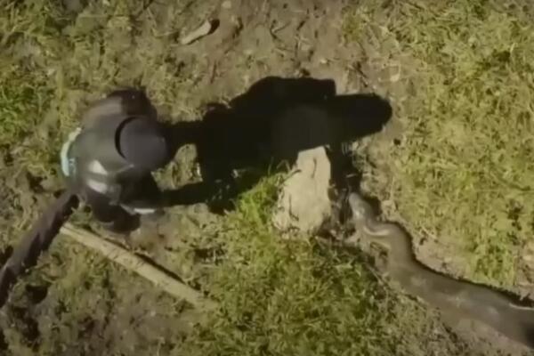 ČOVEK DOZVOLIO OGROMNOJ ZMIJI DA GA PROGUTA Obukao je specijalno odelo, ali su stvari ubrzo KRENULE PO ZLU (VIDEO)