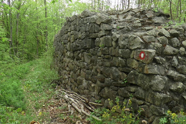 Srbi pronašli ćup sa blagom u njivi, a onda je usledio šok: Ovo samo mi možemo, zauvek sirotinja pa to ti je...