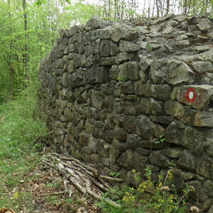 Srbi pronašli ćup sa blagom u njivi, a onda je usledio šok: Ovo samo mi možemo, zauvek sirotinja pa to ti je...
