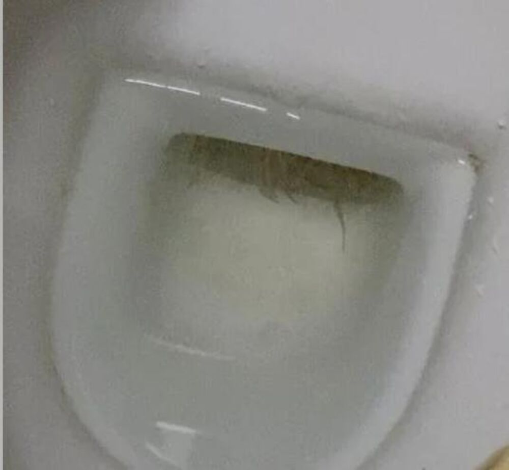 WC šolja