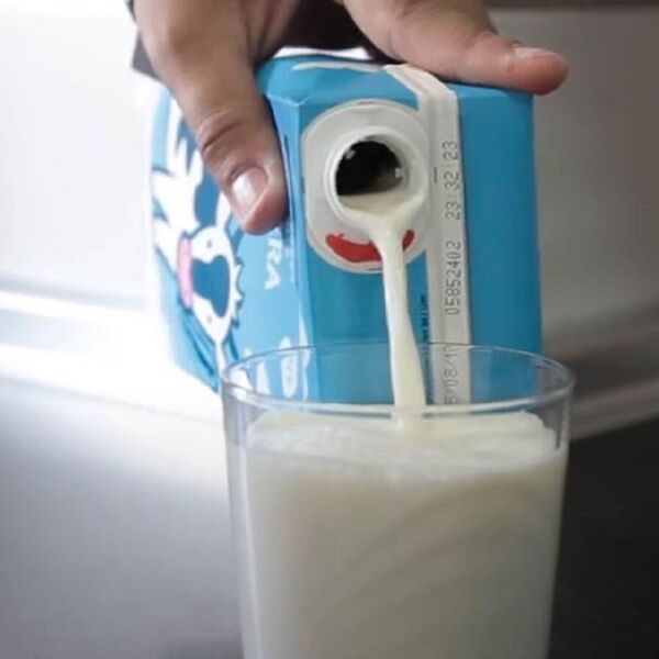 Tri mlečna proizvoda najštetnija su po zdravlje: Mnogi ih tamane, a uništavaju crevnu floru i neprimetno goje