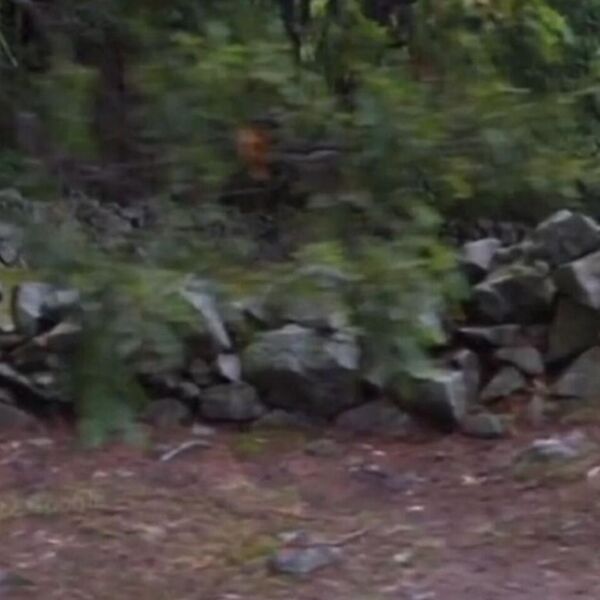 "VIDELA SAM DUHA NA GROBLJU": TikTokom se munjevito širi JEZIVI SNIMAK, ima i svedoka, ŽENA PRETRNULA od straha