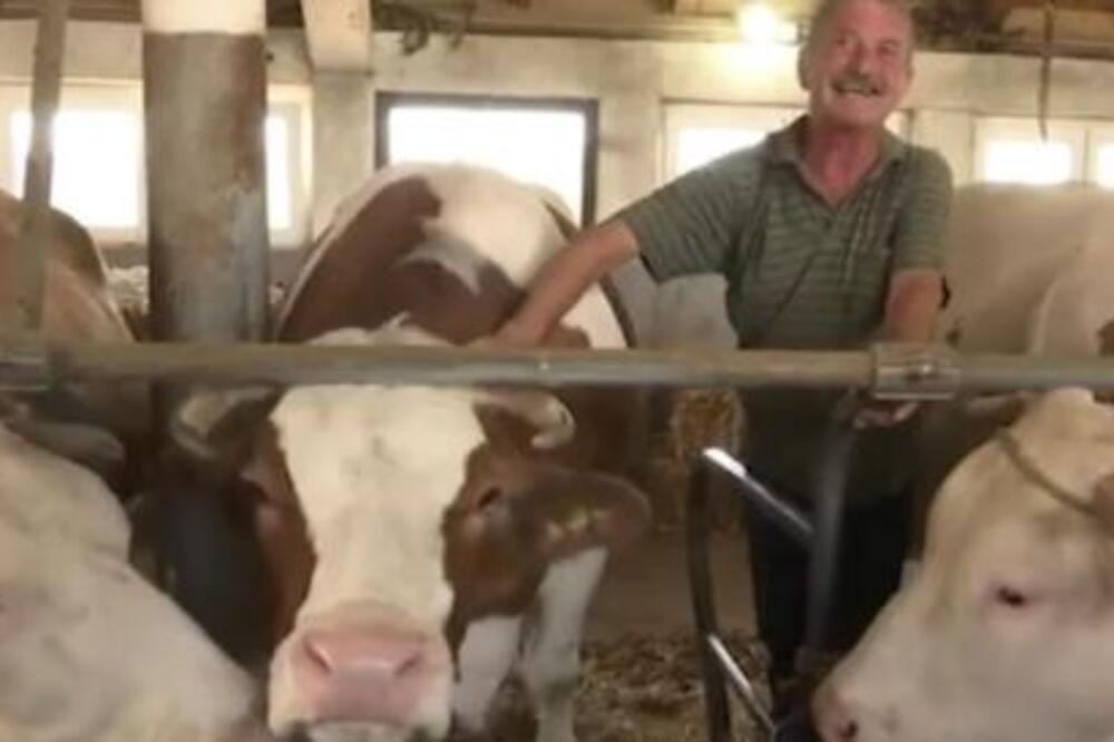 SLUČAJ RAVAN ČUDU: Porodicu Divnić iz Beomuževića dočelo iznenađenje u staji, zanemeli kad su ovo videli! (FOTO)