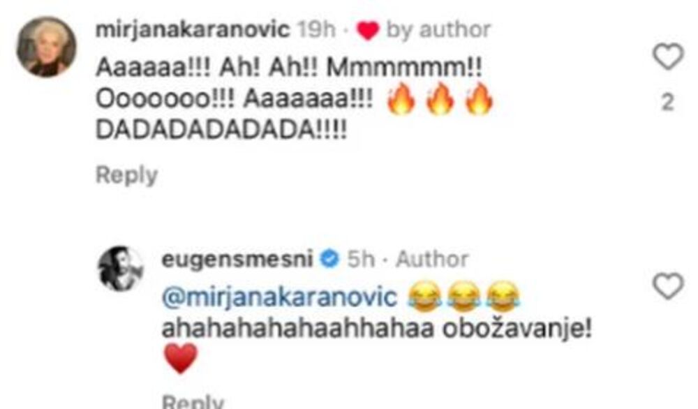 Kometar Mirjane Karanović ispod slike Milana Marića