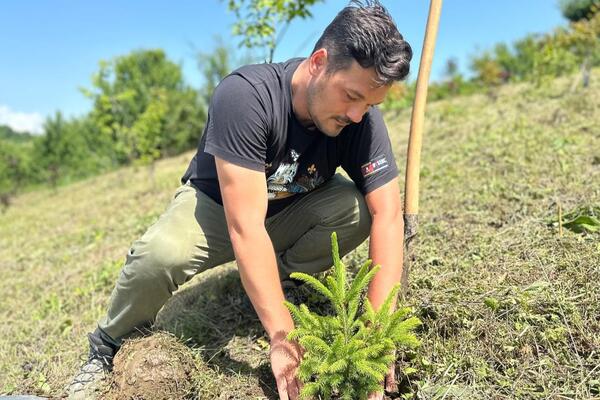STEFAN POSADIO ŠUMU PODNO OVČARA: Gorostasi rastu, vredni Čačanin ih obilazi i pazi, evo kako ona danas izgleda