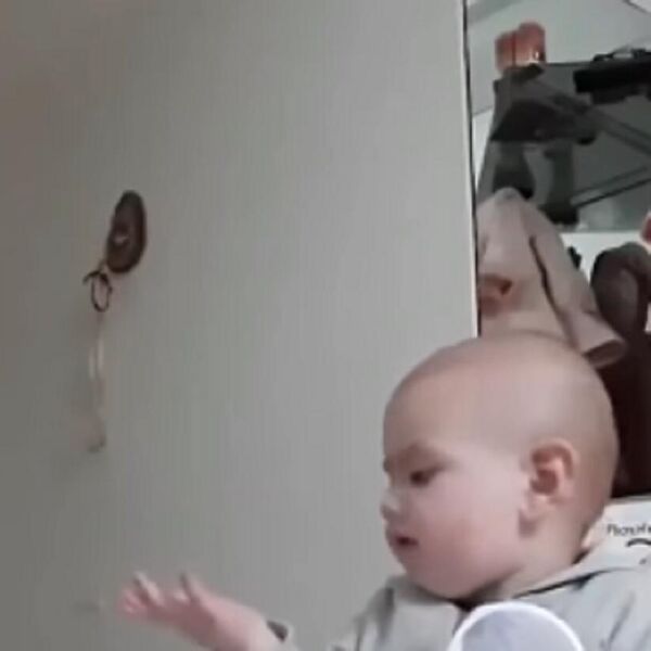 "E SAD TI MENE SLUŠAJ, MAMA": Beba GENIJE nije dala mami da je nahrani, pa krenula da RADI OVO, svi pucaju od smeha