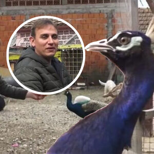 MILOŠ IZ OKOLINE BOGATIĆA JEO KAJGANU OD 300 EVRA I PLAKAO: "Majka mi razlupala jaja, nije znala da..."