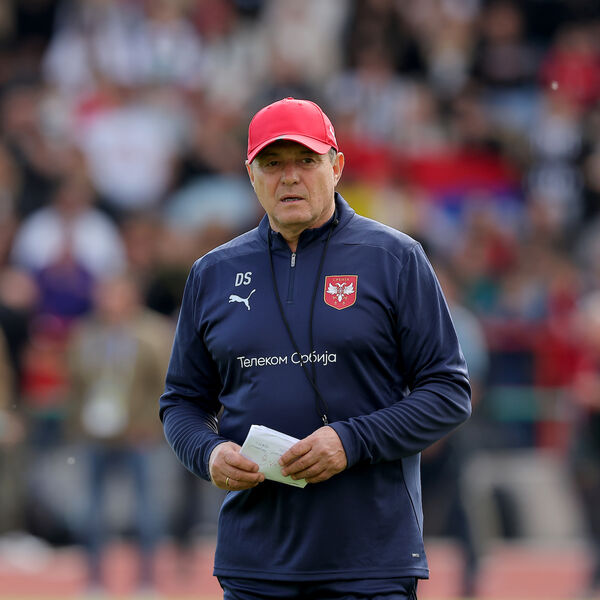 PIKSI GA NIJE POZVAO, A ON REŠETA MREŽE I DELI ASISTENCIJE! Da li bi bio X faktor na EURO-u? (VIDEO)