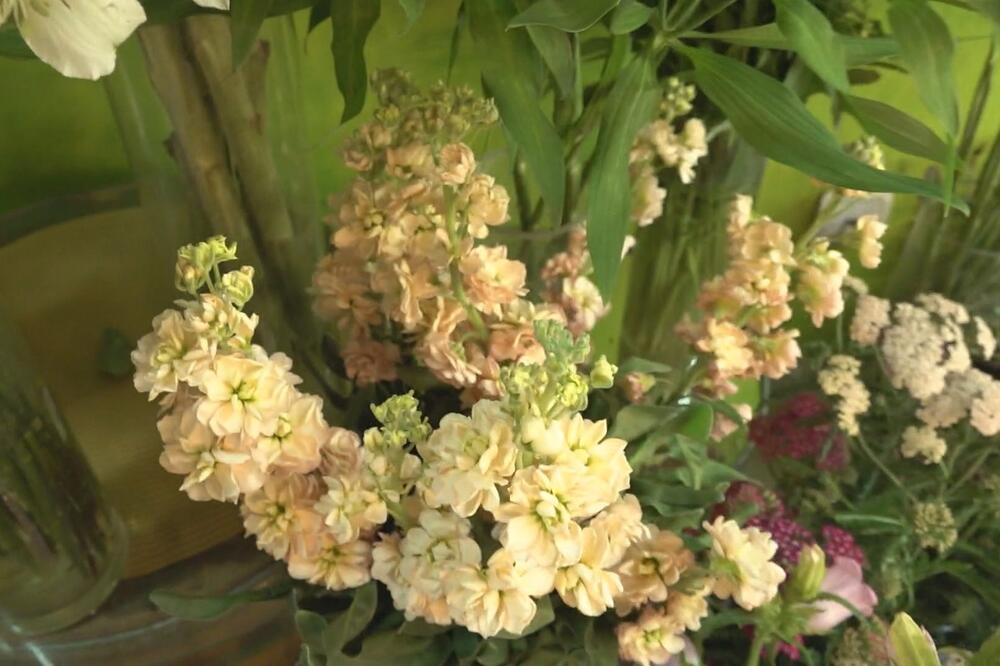 Ako odete na odmor, evo kako da vam biljke ne uvenu nikad: Potrebna je samo jedna stvar