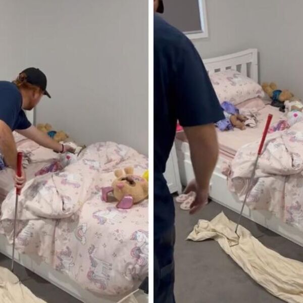 MAJKA PRONAŠLA OPASNU OTROVNU ZMIJU U DEČIJEM KREVETU: Pomerila posteljinu i ZATEKLA UŽAS (VIDEO)