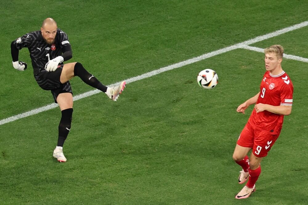 Predrag Rajković na utakmici Srbije i Danske