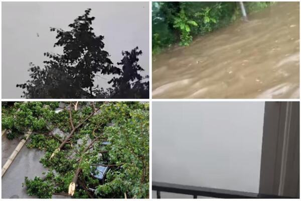 NEVREME NAPRAVILO HAOS U MIRIJEVU: Ulice pod vodom, vetar čupao i nosio drveće (VIDEO)