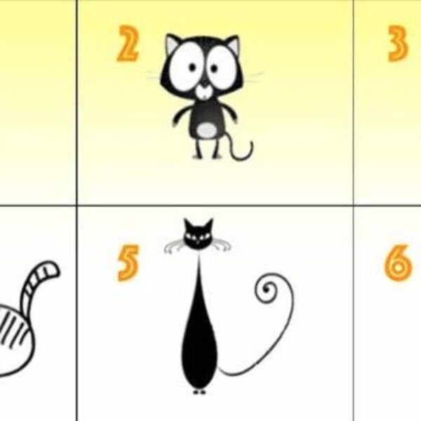 ODABERITE MAČKU SA SLIKE I SAZNAJTE ŠTA ONA GOVORI O VAMA: ljudi se šokiraju kada čuju ISTINU, nisu slutili na ovo