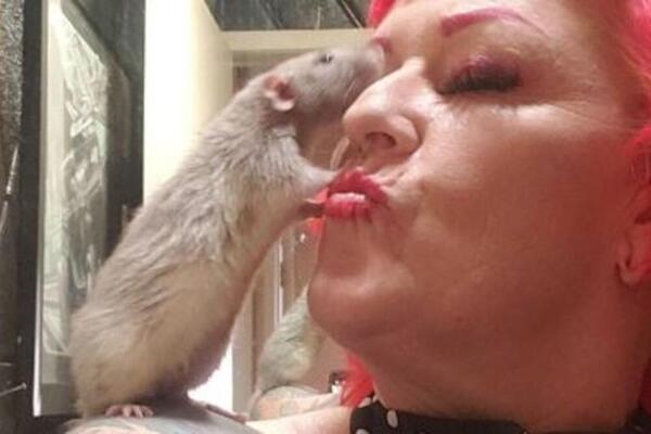 SKVRČIĆE VAM SE ŽELUDAC KAD VIDITE OVU BOLEŠČINU: Žena živi sa PACOVČINAMA i zove ih BEBAMA, a to nije najgore