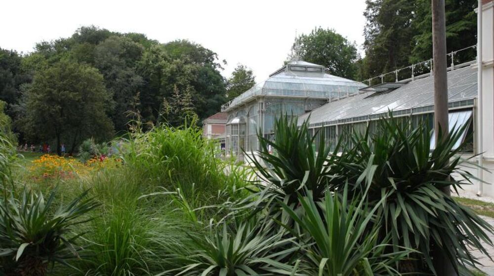 Botanička bašta „Jevremovacˮ