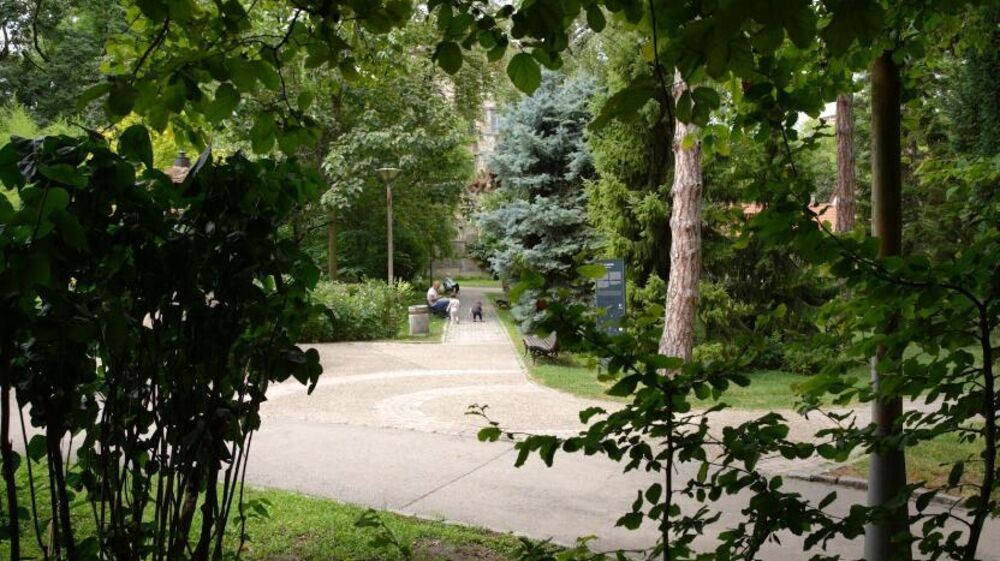 Botanička bašta „Jevremovacˮ