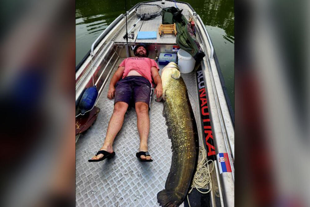 GRDOSIJA DOŠLA NA UDICU, BORBA TRAJALA VIŠE OD SAT VREMENA: Dušan iz Odžaka se pohvalio NEVIĐENIM ULOVOM (FOTO)