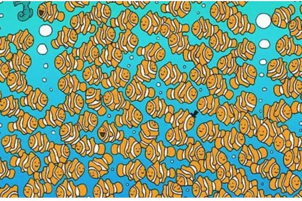 Masa ljudi pogreši ili ne vidi tačno rešenje: Nađite zlatnu ribicu u moru riba za manje od 10 sekundi