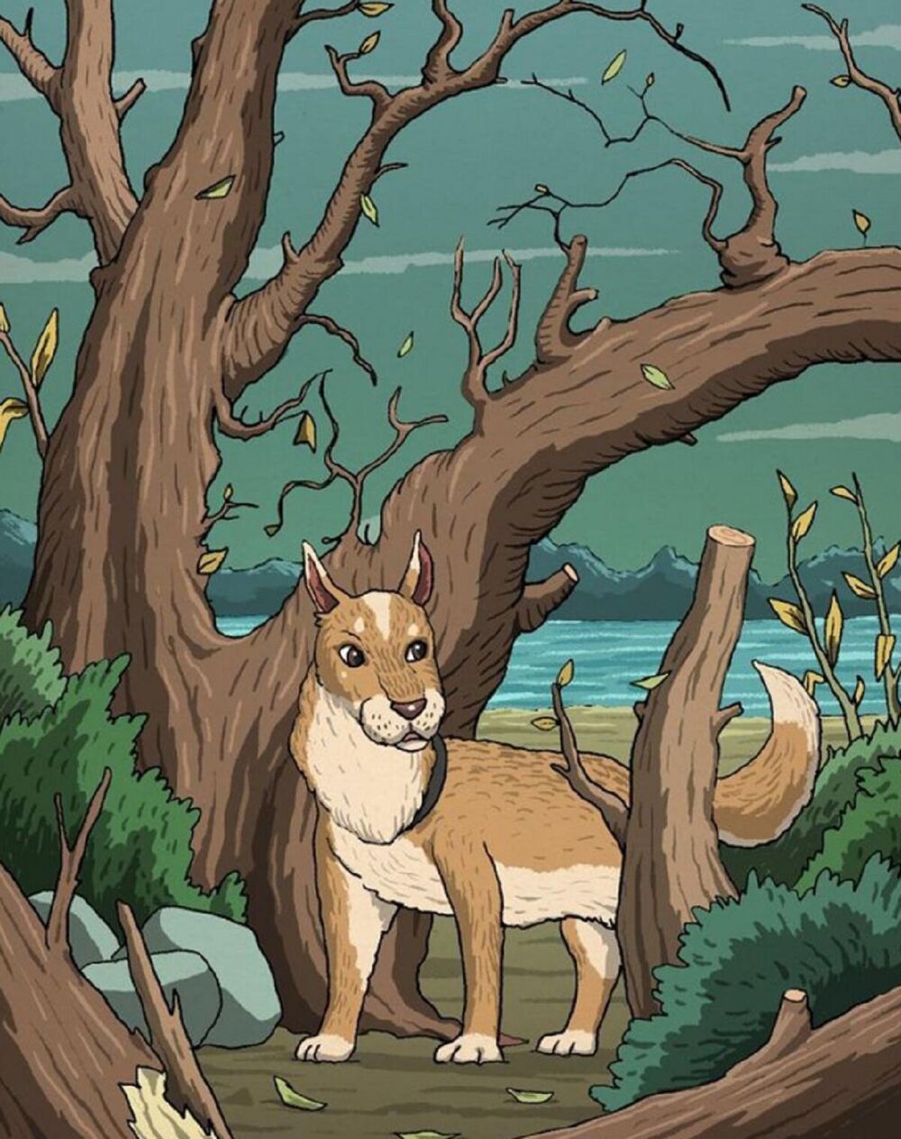 Dobro se zagledajte u ovu sliku i pronađite mačku