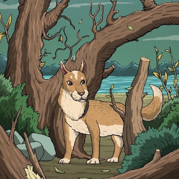 Na ovoj fotografiji se nalaze pas i mačka: Vi vidite samo jednu, a najiteligentniji će pronaći drugu životinju