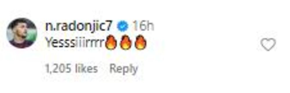 Komentar Nemanje Radonjića