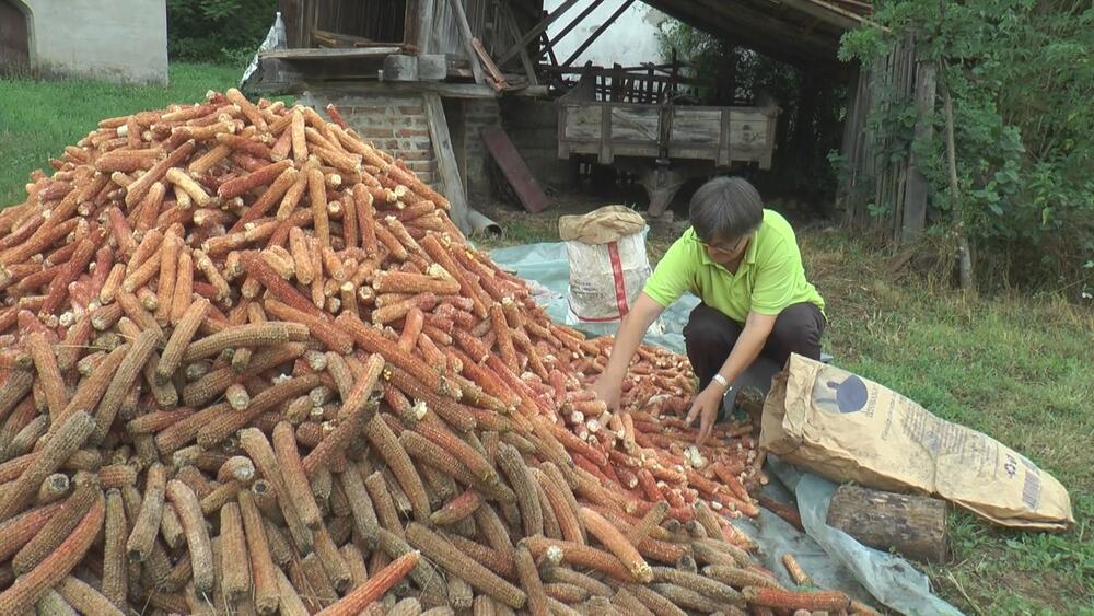 Proizveden je u Srbiji, a sada se povlači sa tržišta! Pun je salmonele