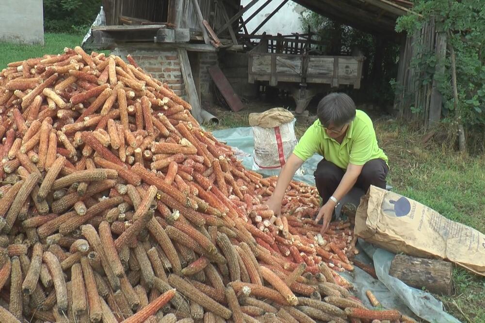 Proizveden je u Srbiji, a sada se povlači sa tržišta! Pun je salmonele