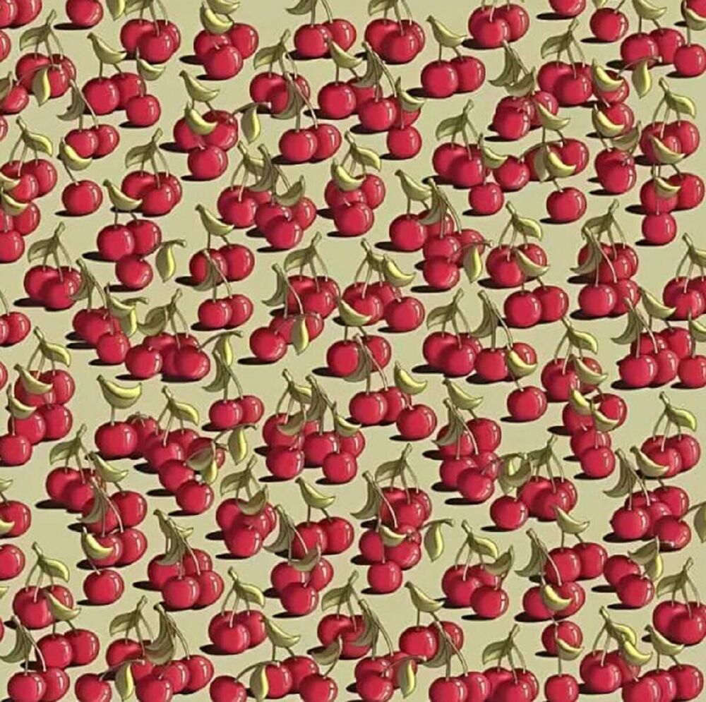 Dobro pogledajte ovu sliku