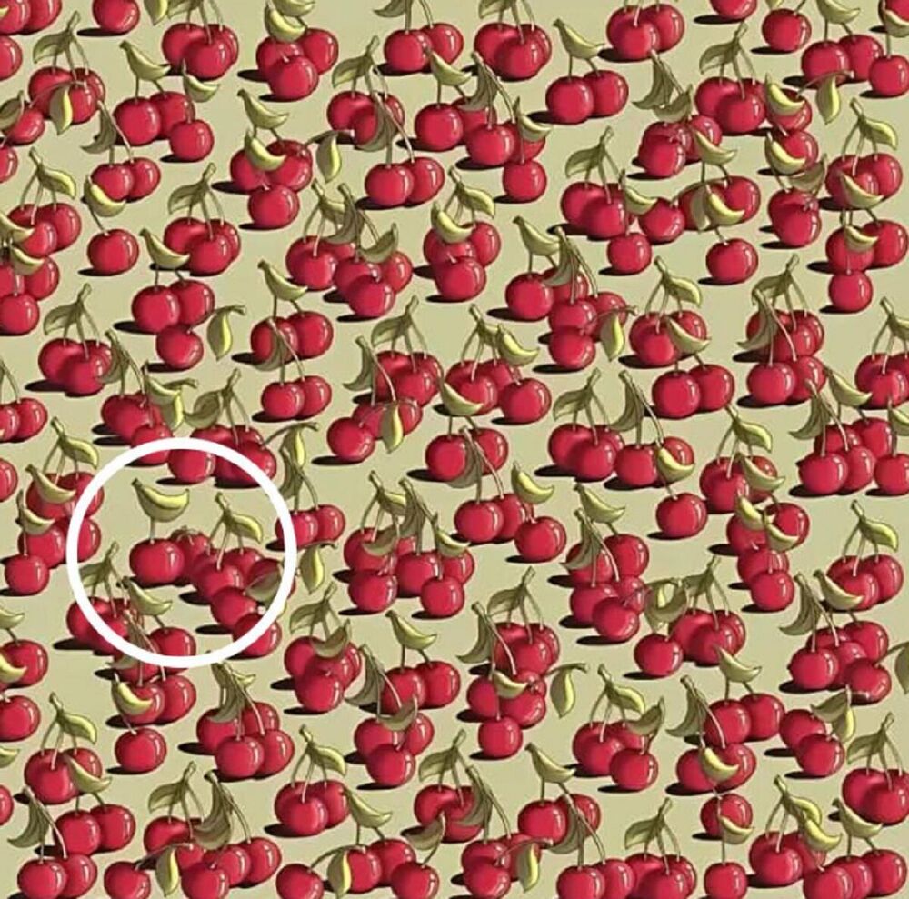 Koliko vam je sekundi bolo potrebno da nađete paradajz?