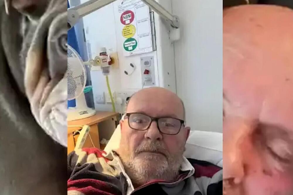 PAS MU JE SAŽVAKAO PRST DO KOSKE I TAKO SPASAO ŽIVOT: Učinio mu uslugu koju će pamtiti do kraja života, bizarno