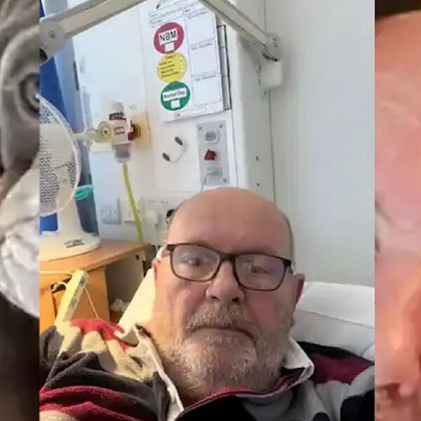 PAS MU JE SAŽVAKAO PRST DO KOSKE I TAKO SPASAO ŽIVOT: Učinio mu uslugu koju će pamtiti do kraja života, bizarno