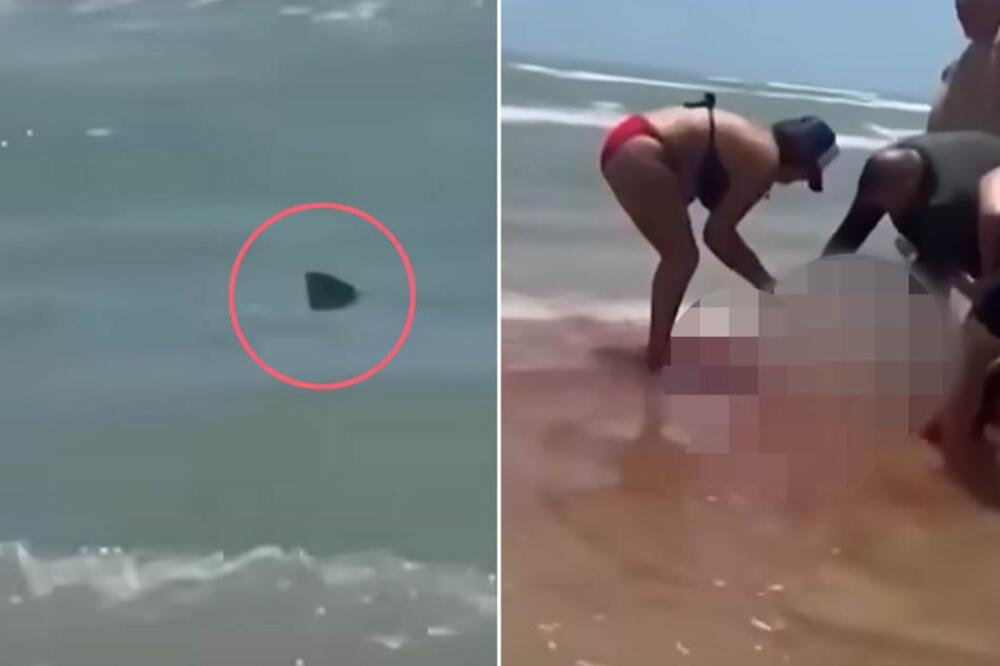 AJKULA NAPALA ŽENU U PLIĆAKU, HOROR NA PLAŽI: Spasioci je izvlače izujedanu, uznemirujući snimak!