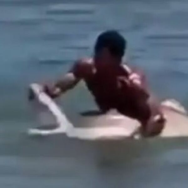 Golim rukama uhvatio ajkulu i razjapio joj čeljusti: Ljudi skamenjeno gledali, kamera je sve snimila (UZNEMIRUJUĆE)