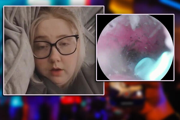 U UHO JOJ SE USELIO PAUK, NAPRAVIO GNEZDO, A ONDA... Ukoliko imate arahnofobiju nikako ne ulazite! Strava i užas!