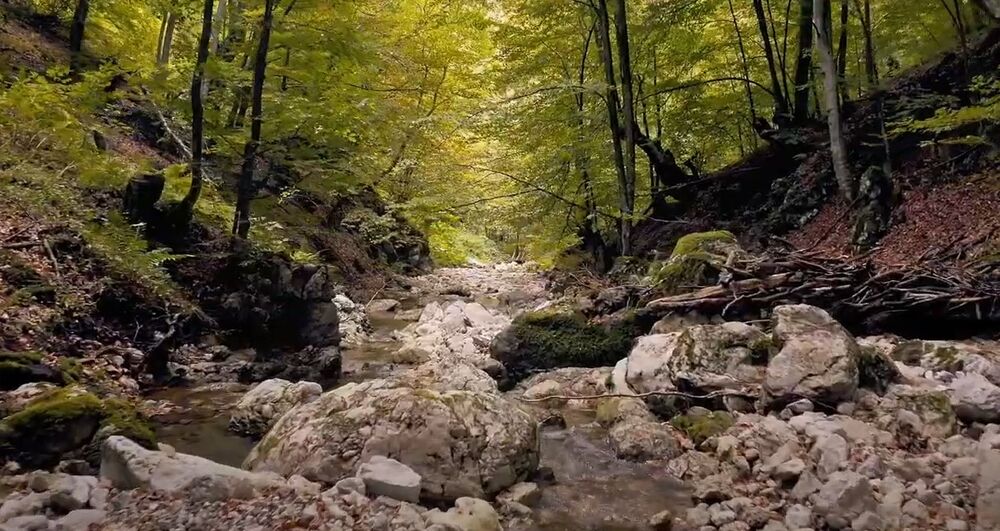 Garadac Reka Reka Gradac je najčistija u Srbiji