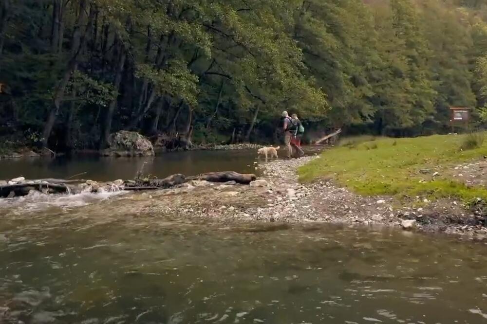 Ova najčistija reka se nalazi na dva sata od Beograda: Čudo od prirode, pravi raj na zemlji (FOTO)