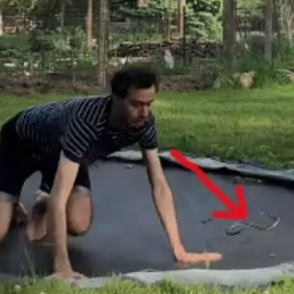 Skakao po trambolini, pa pogledao dole: Zbog onoga što je video, ispustio užasan krik i sledio se u mestu (VIDEO)