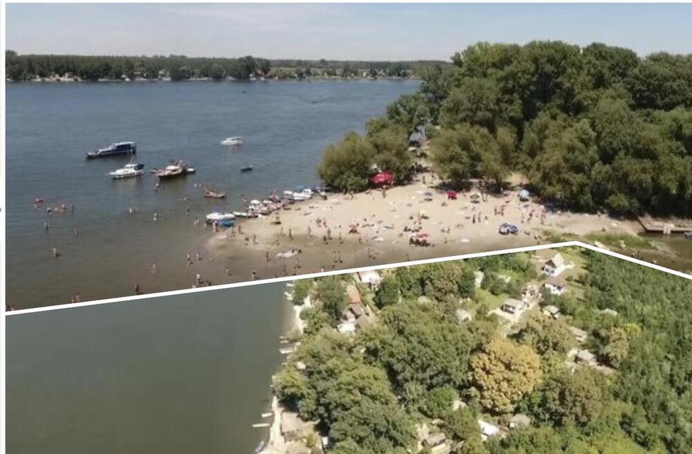 Retko ko zna za ovu peščanu oazu na Dunavu: Idealno mesto za porodice, ima puno prirodnog hlada (FOTO)