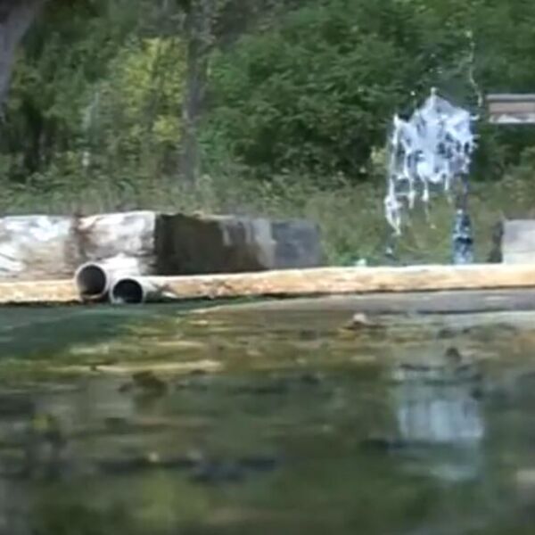 SAMO JEDNA JE ZA PIĆE: Izvršena analiza javnih česmi sa izvorskim vodama, sve su pune ovih štetnih stvari